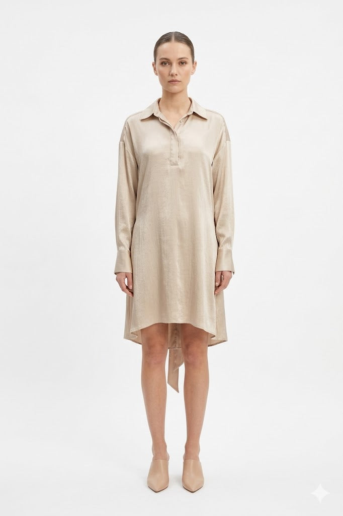 Champagne Satin Shirtdress